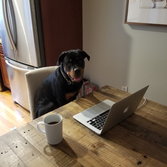 Meet your Posher, Maham - Picture 4 of 8